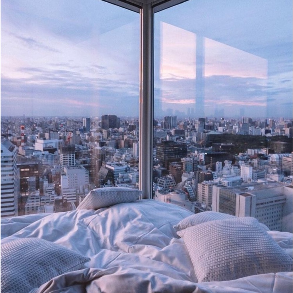 Meet your Posher, Avelina